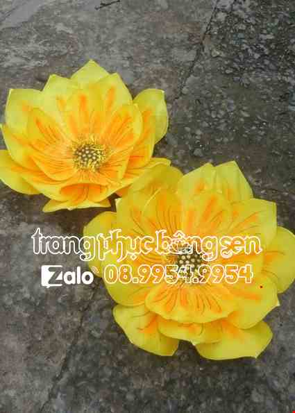 Cho thue Hoa múa cầm tay hoa vải 3 lớp màu vàng