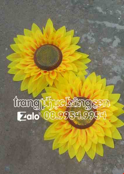 Cho thue Hoa múa cầm tay hoa hướng dương nhỏ