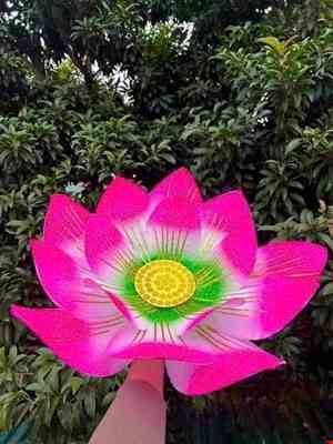 Hoa múa cầm tay màu hồng