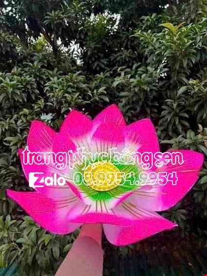 Hoa múa cầm tay màu hồng