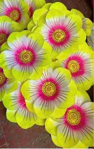 Hoa múa cầm tay trẻ em