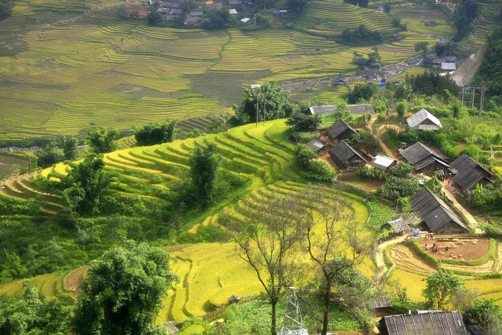Không gian sinh sống đặc trưng của đồng bào dân tộc Thái tại vùng Tây Bắc Việt Nam.