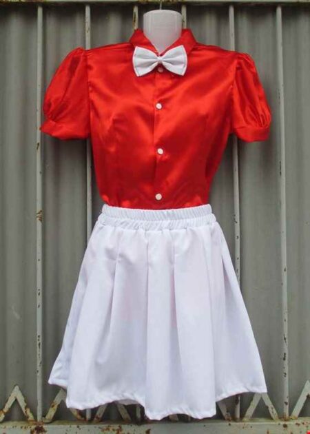 Áo sơ mi nữ - Váy xếp ly