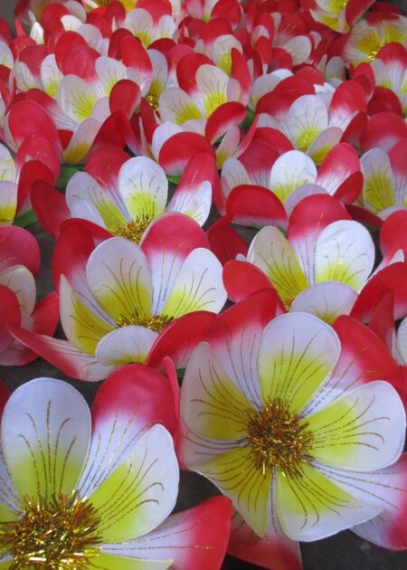 Hoa mai cỡ lớn màu đỏ - vàng