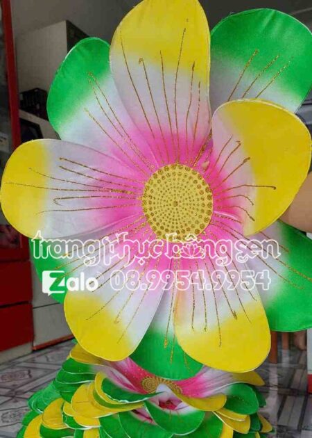 Hoa múa cầm tay đa sắc cỡ lớn