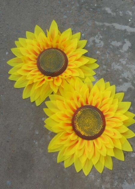 Hoa múa cầm tay hoa hướng dương nhỏ