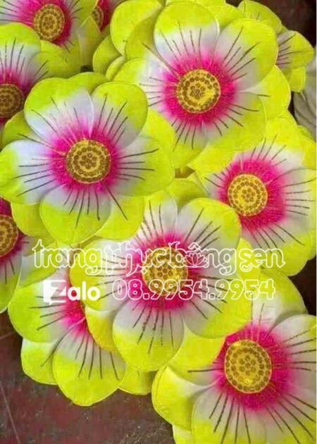 Hoa múa cầm tay trẻ em