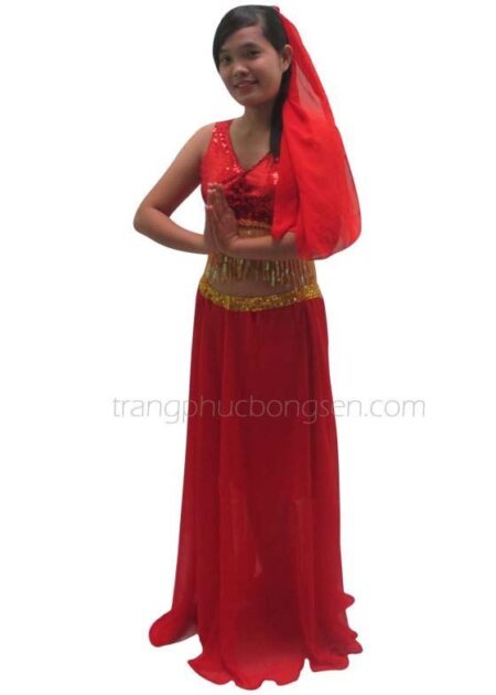 Trang phục Ấn Độ (múa bụng, Belly Dance)