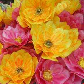 cho thuê hoa múa tại tphcm