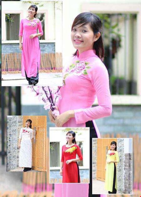 Áo dài nữ chiffon cổ trụ hoa thêu 3D