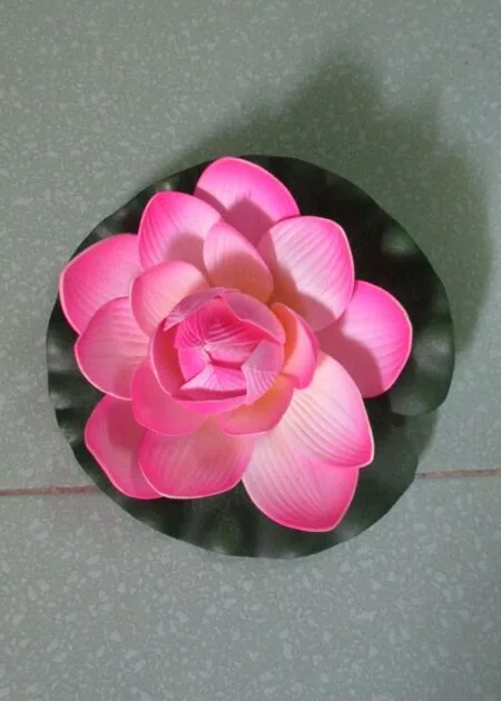 Búp hoa sen múa