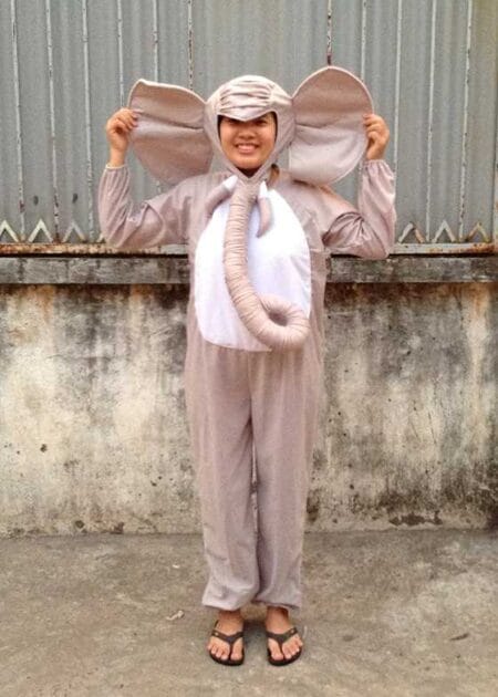 Đồ thú hở mặt, đồ hóa trang con voi