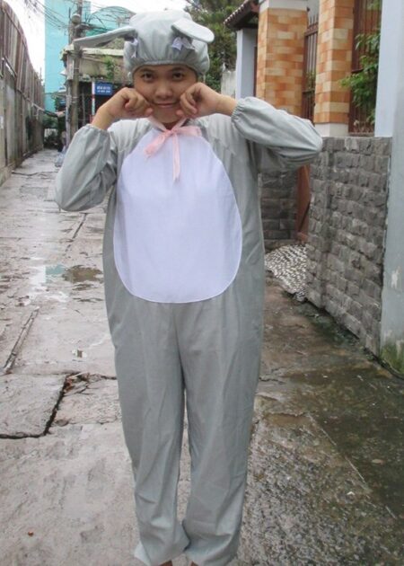 Đồ hóa trang thỏ xám, thú hở mặt đầu rời