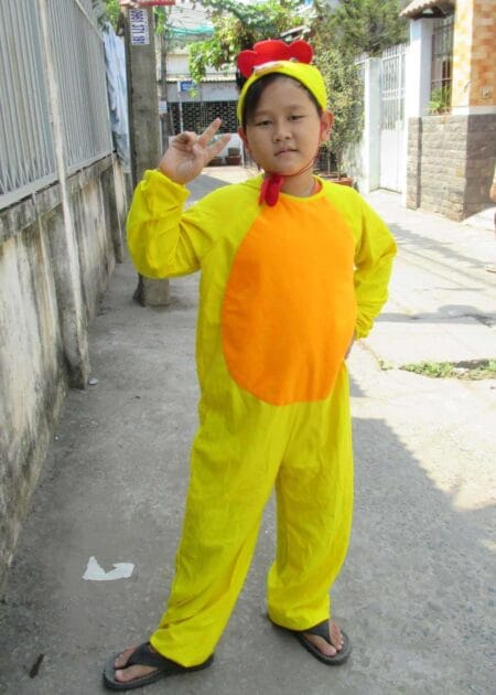 Đồ thú hở mặt trẻ em, đồ hóa trang con gà mái