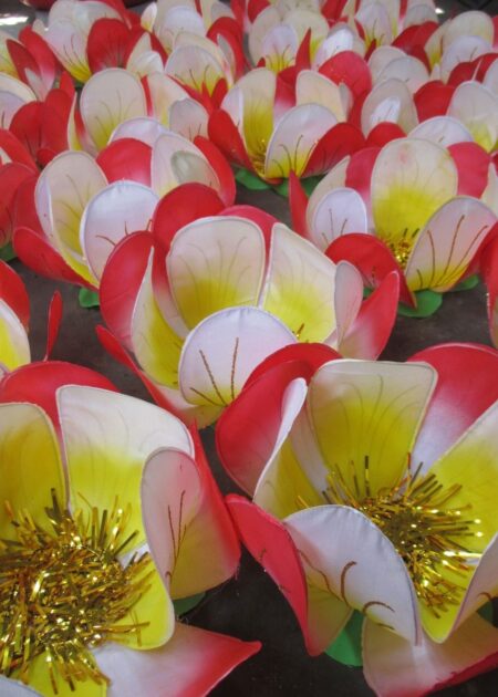 Hoa mai cỡ nhỏ màu đỏ - vàng