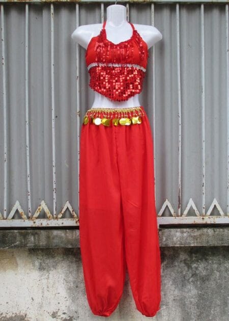Trang phục Ấn Độ (múa bụng, belly dance) yếm kim sa quần đỏ
