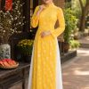 thuê đồ biểu diễn áo dài gấm đồng tiền vàng